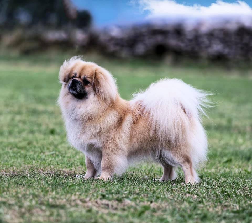 The Gossip Column, August 13, 2021